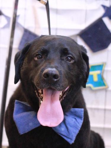 20230404こてつくん